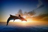 Naplemente a tengeren delfinekkel