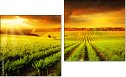Diptych
