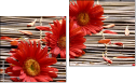 Diptych