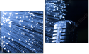 Diptych