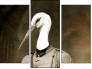 Triptich