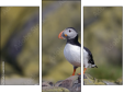 Triptich