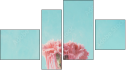 Erőd