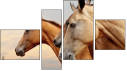 Erőd