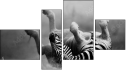Erőd