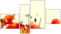 Erőd