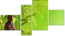 Erőd