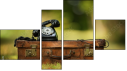 Erőd