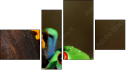 Erőd