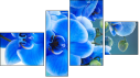 Erőd