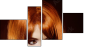 Erőd