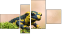 Erőd
