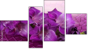 Erőd
