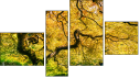 Erőd
