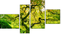 Erőd