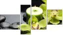 Erőd