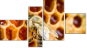 Erőd