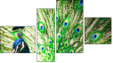 Erőd