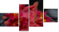 Erőd