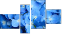 Erőd