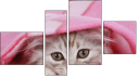 Erőd