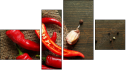 Erőd