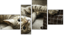 Erőd