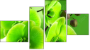 Erőd