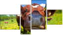 Erőd