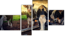 Erőd