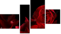 Erőd