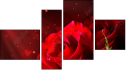 Erőd
