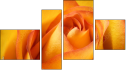 Erőd