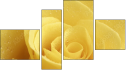 Erőd