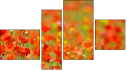 Erőd