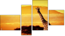 Erőd