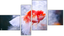 Erőd