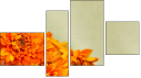 Erőd