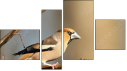 Erőd