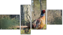Erőd