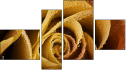 Erőd