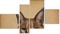 Erőd