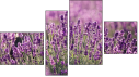 Erőd