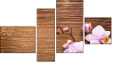Erőd