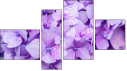 Erőd