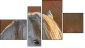 Erőd