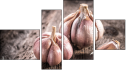 Erőd