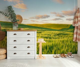 napos dombok naplementekor fototapeta taj fototapeta demural