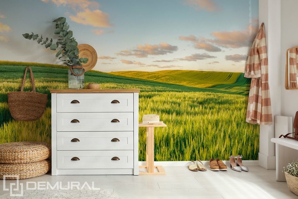 Napos dombok naplementekor Fotótapéta Táj Fotótapéta Demural