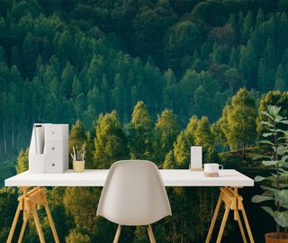 erdo melye fak kilatasaval fototapeta taj fototapeta demural